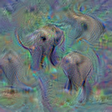 n02504458